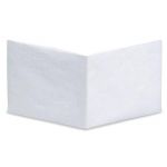Mighty Wallet the Blank